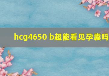 hcg4650 b超能看见孕囊吗